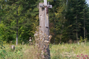 Krzyż przydrożny w Tychowie