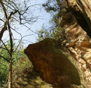 Ściana skalna w Krynkach