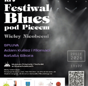 14. Festiwal Blues pod Piecem